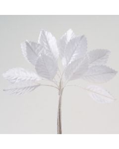 White satin leaves – 144 Pack