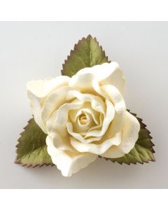Cream large open rose – 12 Pack