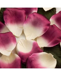 Ivory/Fuchsia paper rose petals – 100 Petals