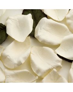 Ivory paper rose petals – 100 Petals