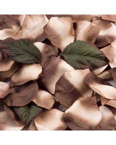 Cappuccino paper rose petals – 100 Petals