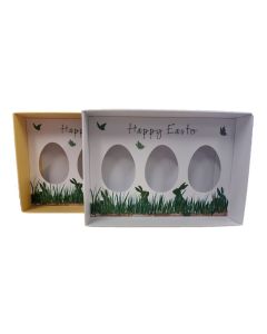 Small WHITE Trio Egg Box With Printed Insert & Clear Lid - 165mm x 115mm x 50mm